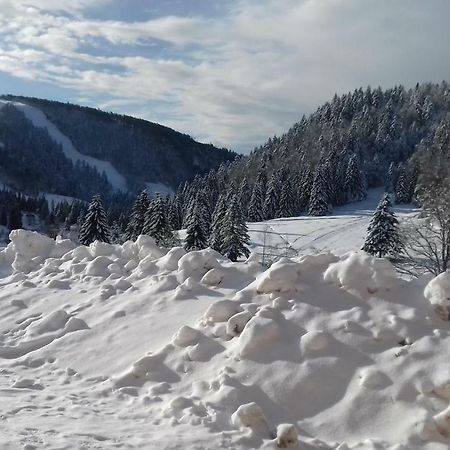 Les Feignes Cerfdore La Bresse Exterior photo