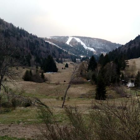 Les Feignes Cerfdore La Bresse Exterior photo