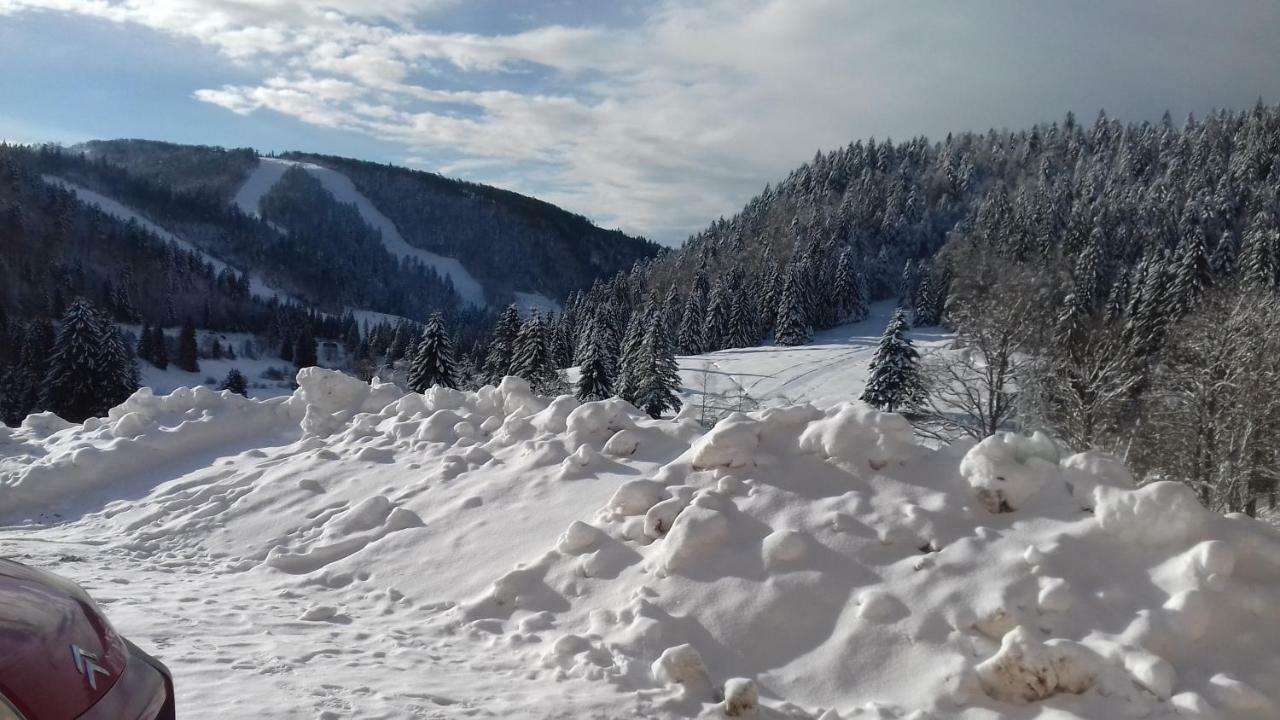 Les Feignes Cerfdore La Bresse Exterior photo