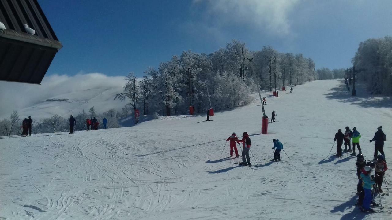 Les Feignes Cerfdore La Bresse Exterior photo
