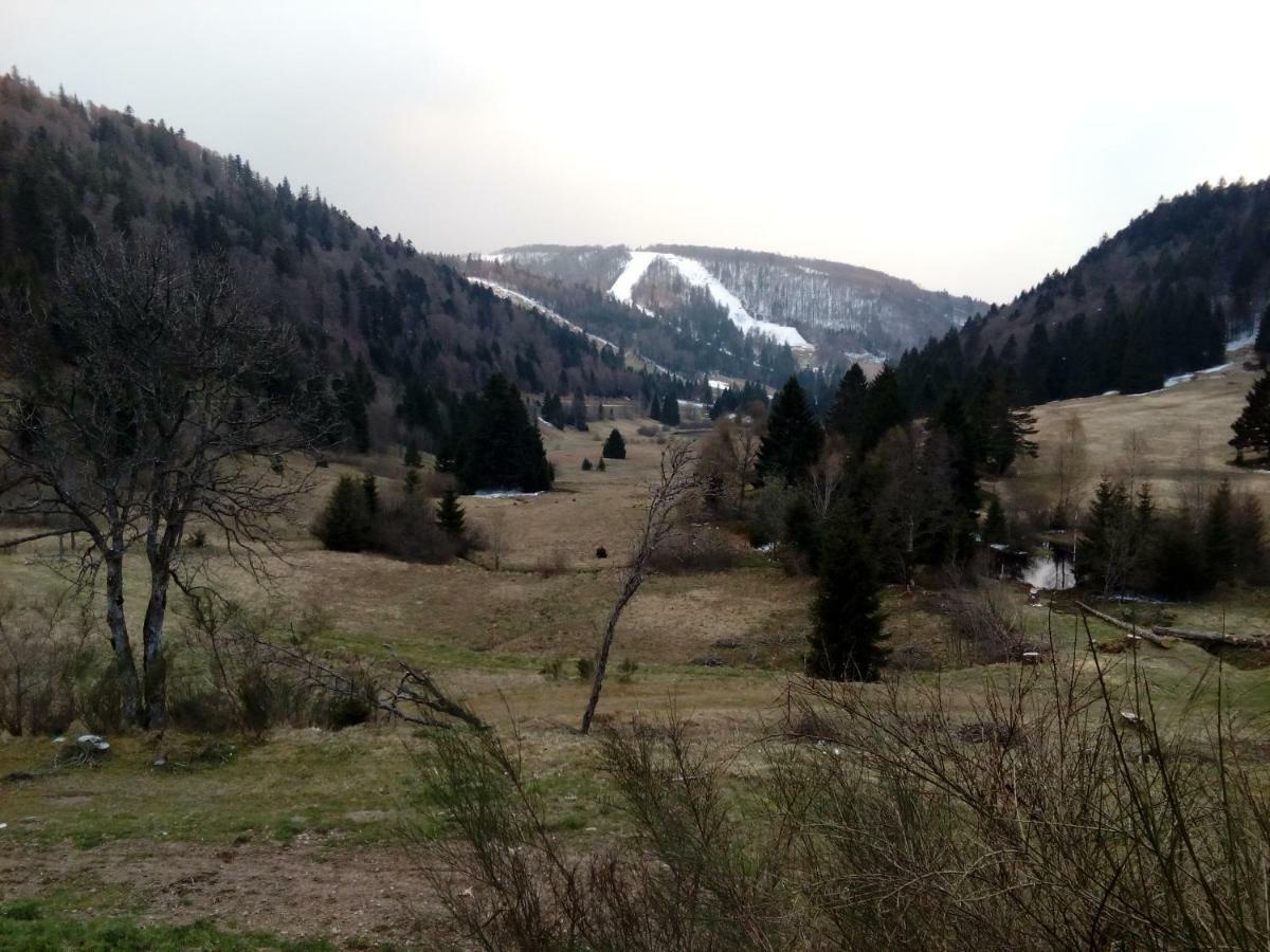 Les Feignes Cerfdore La Bresse Exterior photo